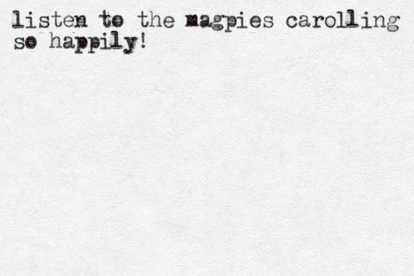 listen to the magpies carolling so happily!