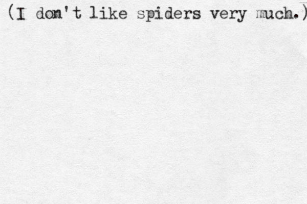 (I don't like spiders very much.) ) 