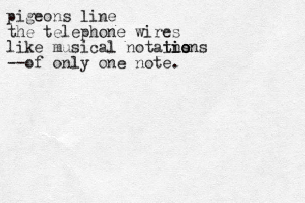 pigeons line the telephone wires like musical notains t tions io o --of only one note.