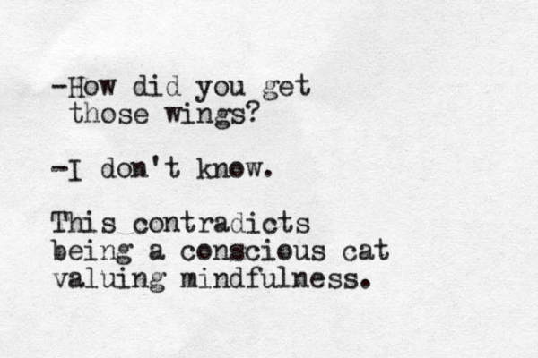 -How did you get those wings? -I don't know. This contradicts being a conscious cat valuing mindfulness.