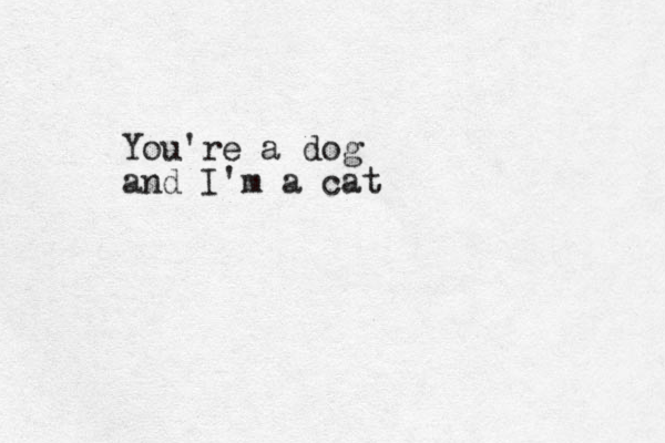 You're a dog and I'm a cat