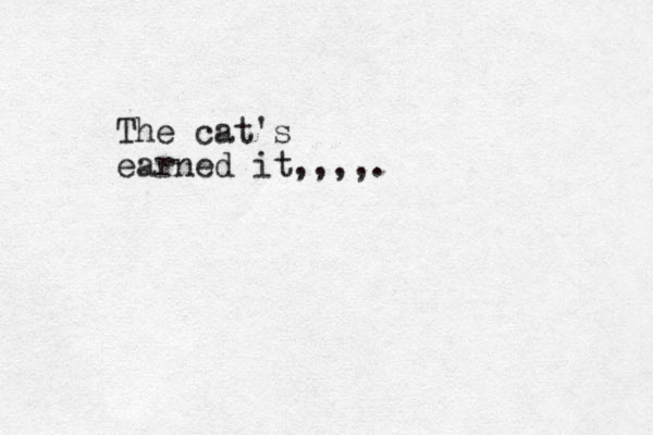 The cat's earned it,,,,.