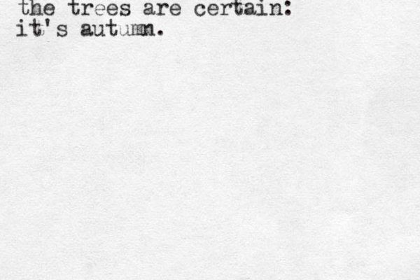 the trees are certain: it's autumn.