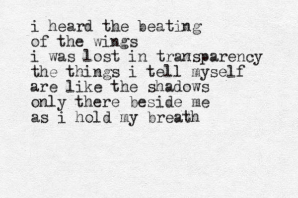 i heard the beating of the wings i was lost in transparency the things i tell myself are like the shadows only there beside me as i hold my breath