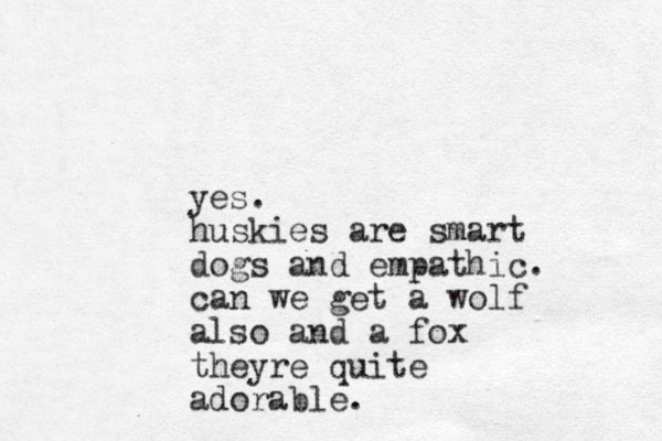yes. huskies are smart dogs and empathic. can we get a wolf also and a fox theyre quite adorable.