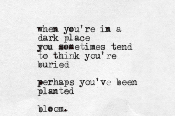 when you're in a dark place you sometimes tend to think you're buried perhaps you've been planted bloom.