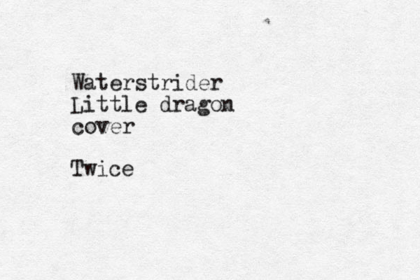 Waterstrider Little dragon cover Twice