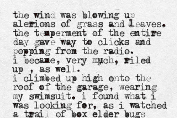 the wind was blowing up alerions of grass and leaves. the temperment of the entire day gave way to clicks and popping from the radio. i became, very mych u , riled up , as well. i climbed up high onto the roof of the garage, wearing my swimsuit. i found what i was looking for, as i watched a trail of box elder bugs 