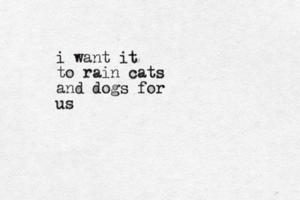 i want it to rain cats and dogs for us