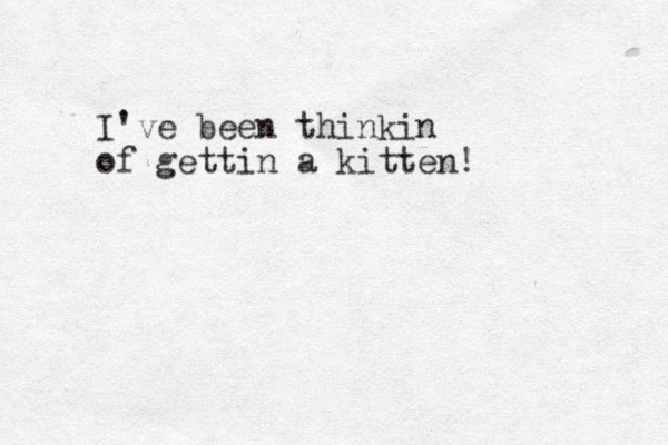 I've been thinkin of gettin a kitten! 
