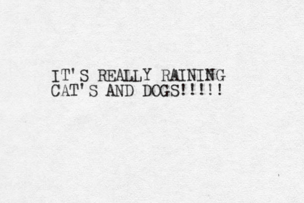 IT'S REALLY RAINING CAT'S AND DOGS!!!!! 