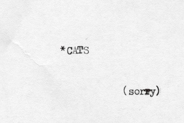 *CATS (sorry) 