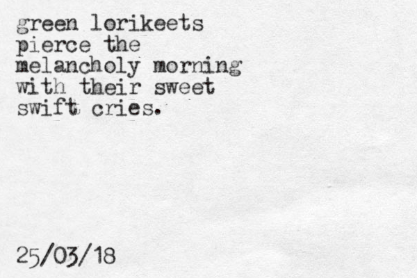 green lorikeets pierce the melancholy morning with their sweet swift cries. 25/03/18