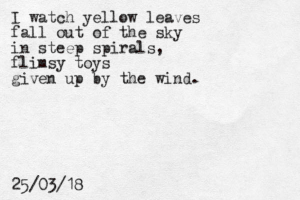 I watch yellow leaves fall out of the sky in steep spirals, flimsy toys given up by the wind. 25/03/18