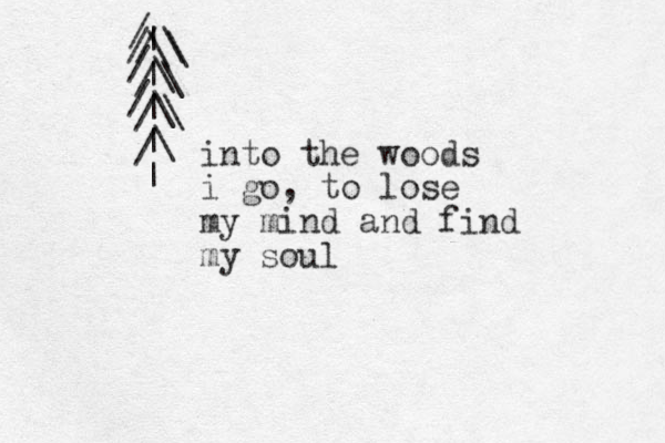 / \ | | | | | \ \ \ \ / / / / \ \ \ / / / into the woods i go, to lose my mind and find my soul