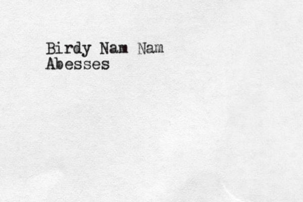 Birdy Nam Nam Abesses