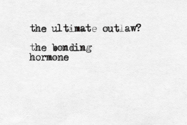 the ultimate outlaw? the bonding hormone