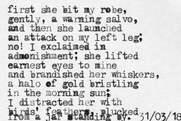 first she bit my robe, gently, a warning salvo, and then she launched an attack on my left leg; no! I exclaimed i n admonishment; she lifted earnest eyes to mine and brandished her whiskers, a halo of gold bristling in the morning sun; I distracted her with birds' feathers, plucked from a jar standing by. 8 1 / 3 0 / 1 3 