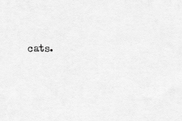 cats.