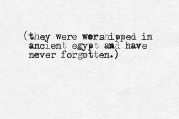 (they were worshipped in ancient egypt and have never forgotten.)
