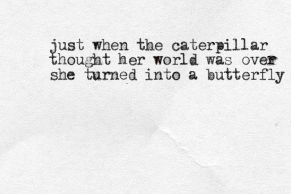 just when the caterpillar thought her world was over she turned into a butterfly 