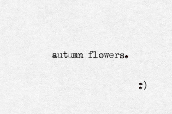 autumn flowers. :) 