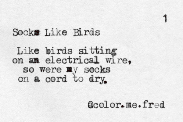 Socks Like Birds Like birds sitting on an electrical wire, so were my socks on a cord to dry 1 a Ocolor.me.fred . 