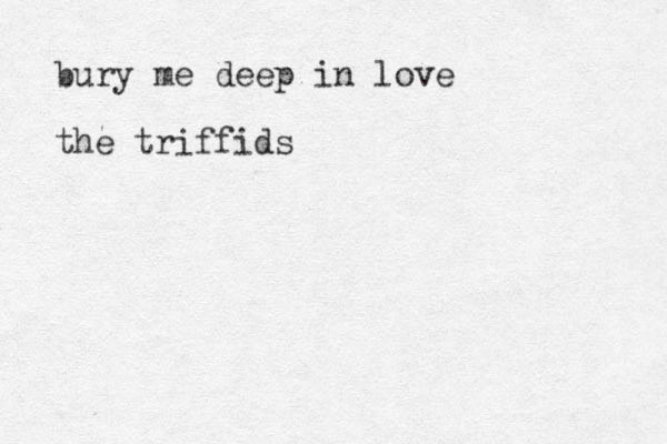 bury me deep in love the triffids