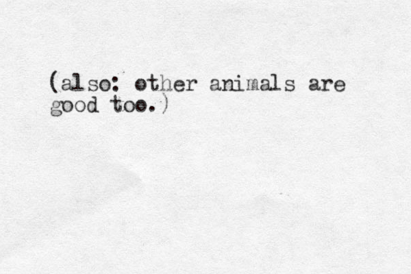 (also: other animals are good too.)