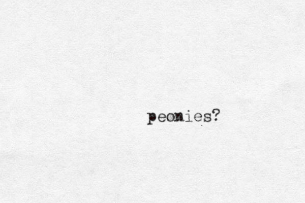 peonies?