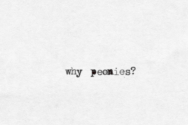 peonies? why 
