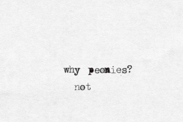peonies? why not