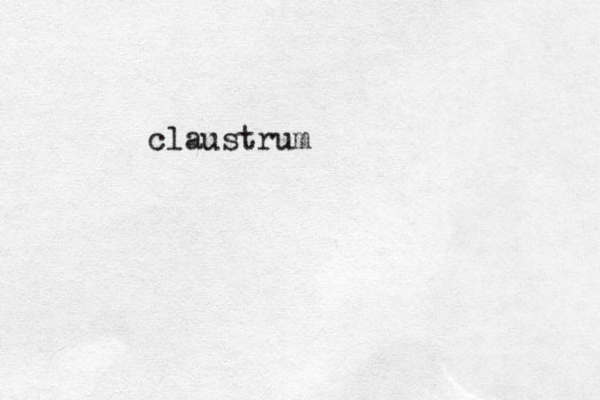 claustrum