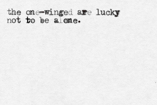 the one-winged are lucky not r t to be alone.