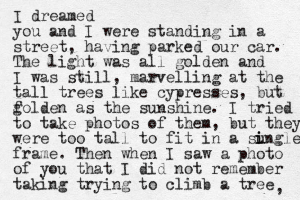 I dreamed you and I were standing in a street, having parked our car. The light was all golden and I was still, marvelling at the tall trees like cypresses, but f golden as the sunshine. I tried to take photos of them, but they were too tall to fit in a su i ingle frame. Then when I saw a photo of you that I did not remember taking trying to climb a tree , 