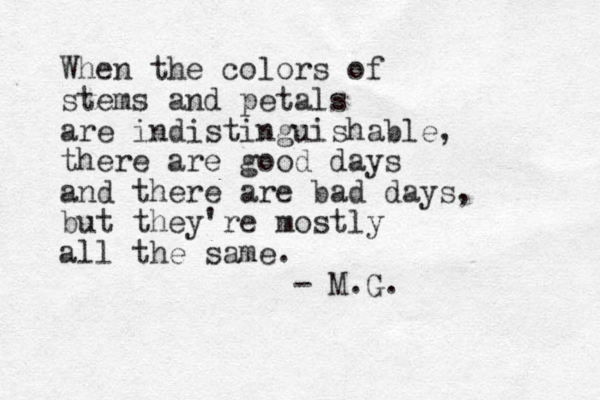 When the colors of stems and petals are indistinguishable, there are good days and there are bad days, but they're mostly all the same. - M.G. 