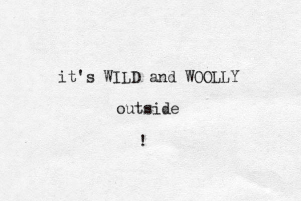 it's WILD and WOOLLY outside ! 