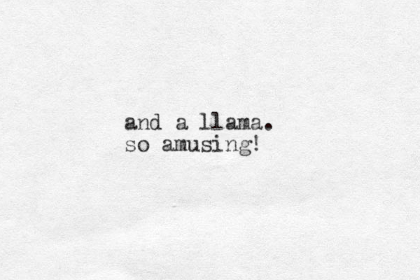 and a llama. so amusing!