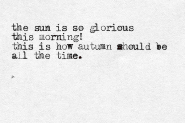 the sun is so glorious this morning! this is how autumn should be all the time.