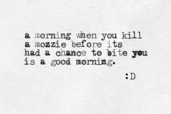 a morning when you kill a mozzie before its had a chance to bite you is a good morning. :D 
