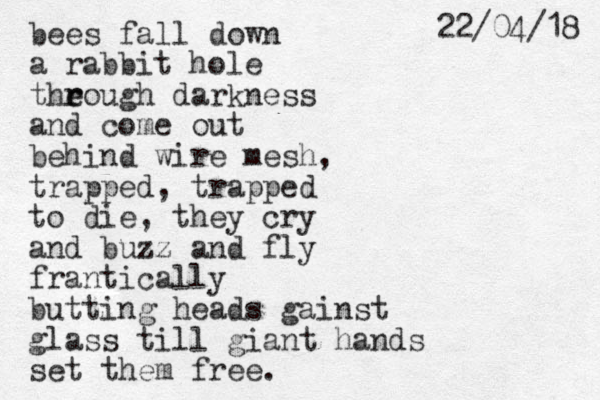 bees fall down a rabbit hole the r rough darkness and come out behind wire mesh, trapped, trapped to die, they cry and buzz and fly frantically butting heads gainst glass till giant hands set them free. 8 1 / 4 0 / 2 2 