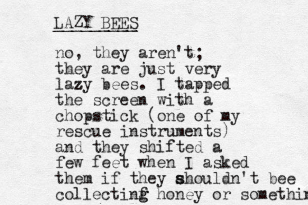 no, they aren't they are just very lazy z bees. I tapped the screen with a chopstick (one of my rescue instruments) and they shifted a few feet when I asked them if they ahouldn't s s bee collectinf g g honey or something LAZY BEES _________ ; 