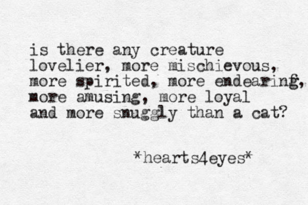 is there any creature lovelier, more mischievous, more spirited, more endearinf g g, more amusing, more loyal and more snuggly than a cat? *hearts4eyes* 