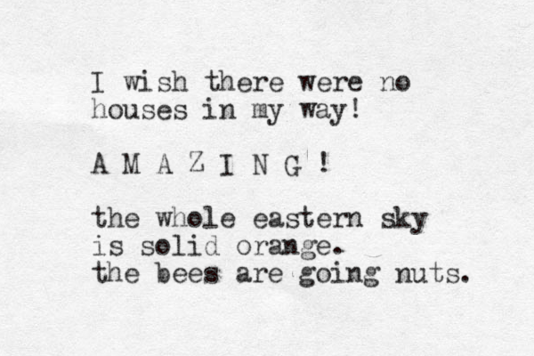 I wish there were no houses in my way! A M A Z I N G ! the whole eastern sky is solid orange. the bees are going nuts. 