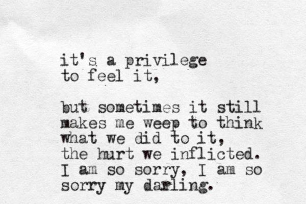 it's a privilege to feel it, but sometimes it still makes me weep to think what we did to it, the hurt we inflicted. I am so sorry, I am so sorry my darling. 