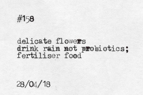 #158 delicate flowers drink rain not probiotics fertiliser food ; 28/04/18