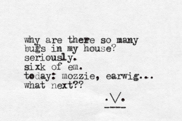 why are there so many buf gs in my house? seriously. sixk of em. today: mozzie, earwig... what next?? .\/. ---- 