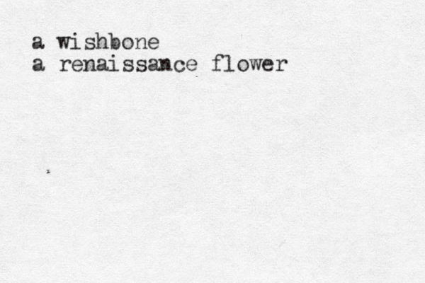 a wishbone a renaissance flower