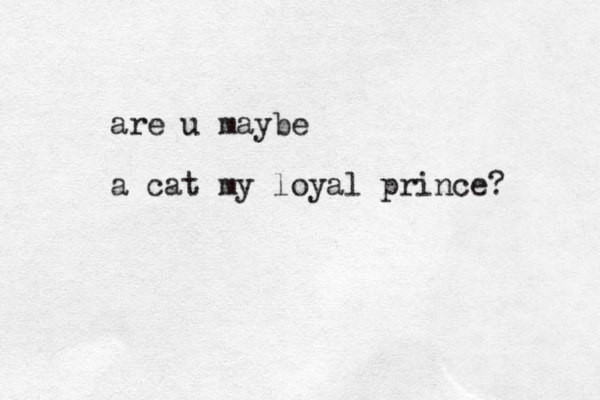are u maybe a cat my loyal prince?
