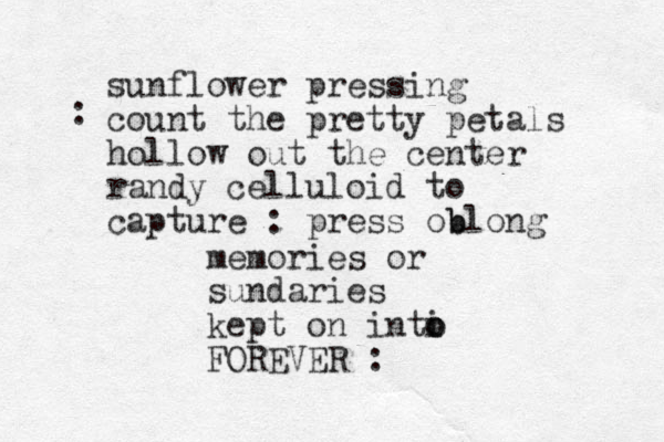 sunflower pressing count the pretty petals hollow out the center randy celluloid to capture : press ob blong : memories or sundaries kept on inti o o FOREVER : 